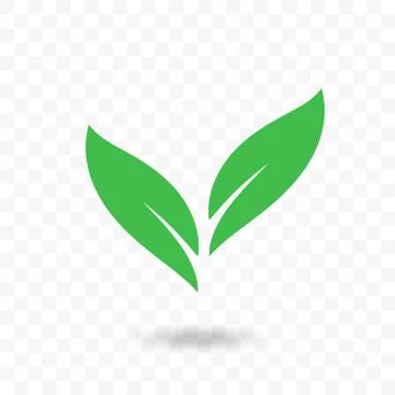 Green leaf vector vegan, bio or eco icon Illustrazione stock