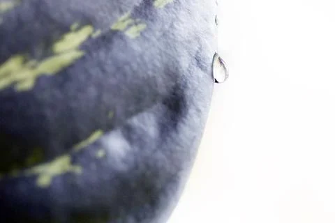 Green leaf with waredrops Foto stock