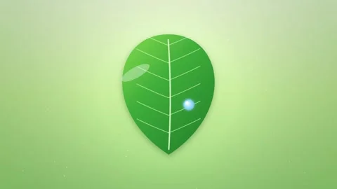 Green Leaf with Water Drop 2D Motion Graphics Eco Background Stock Footage 347966228
