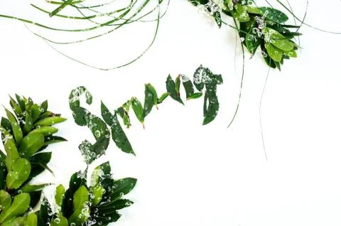 Green leaf with water drop background Stock Photos