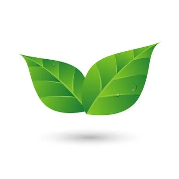 Green leaf with water drop eco friendly concept Stock Illustration