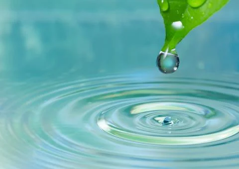 Green leaf with water drop Stock Photos