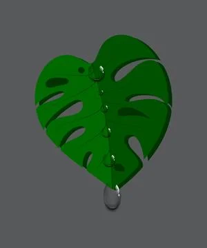 Green leaf with water drops. Stock Illustration