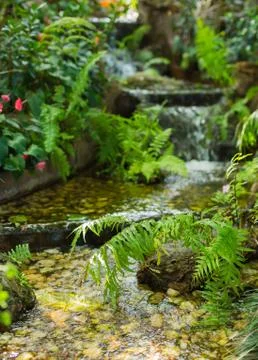 Green leaf with water fall Stock Photos