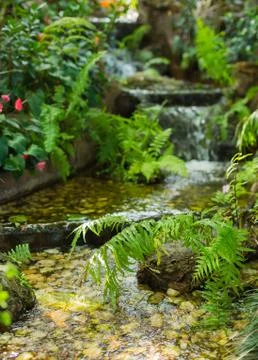 Green leaf with water fall Stock Photos