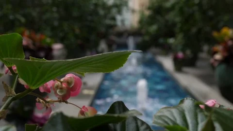 Green Leaf to Water Fountain Pull Focus Close Up Slow Motion Stock Footage 80245487