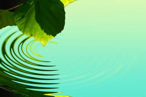 Green leaf with water reflection Stock Illustration