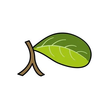 Green leaf on white background. Illustration in doodle style. Green leaves Stock Illustration