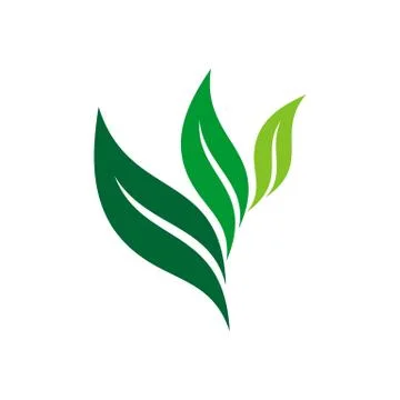 Green Leaf Wing Logo Template Illustration Design. EPS 10. Illustrazione stock