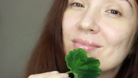 Green leaf in woman's hands close up. Natural skin care. Composition of plants b Stock Footage 294893011