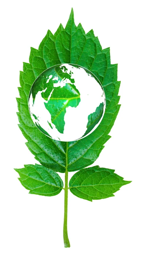A green leaf with a world map. Stock Footage 340297537
