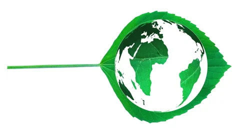 A green leaf with a world map. This striking visual illustrates the ecology Stock Footage 340210143
