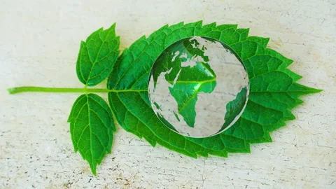 A green leaf with a world map. This striking visual illustrates the ecology 스톡 동영상 340210205