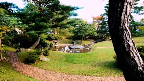 Green leafed trees in the park Stock Footage 234445617