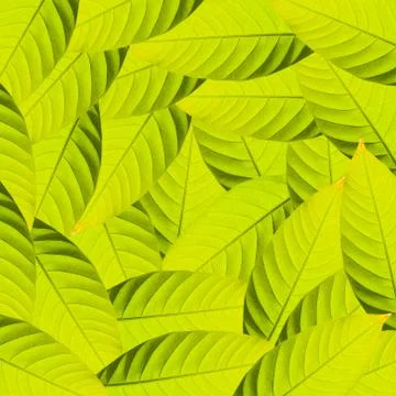 Green leafs for background Stock Illustration