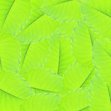 Green leafs for background ,texture and patten Stock Illustration