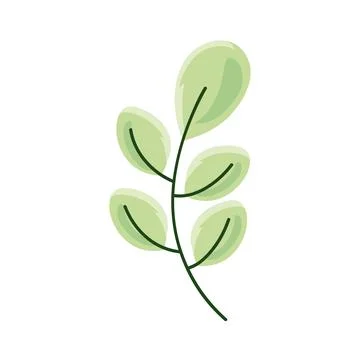 Green leafs branch Stock Illustration