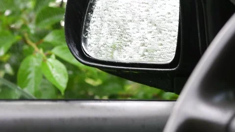 Green leafs in the rain. Heavy summer rain Falling On Tree Leaves 스톡 동영상 276562892