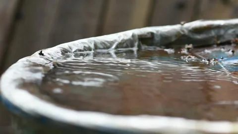 Green leafs in the rain. Heavy summer rain Falling On Tree Leaves Stock Footage 276563031