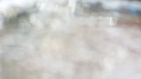 Green leafs in the rain. Heavy summer rain Falling On Tree Leaves. slow motion Stock Footage 276563078