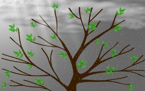 Green leafs spring on the tree in the rainy season Stock Illustration