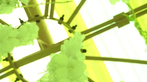 Green leafy Background, Artificial leafs hanging in a event, theme decoration 스톡 동영상 175909726