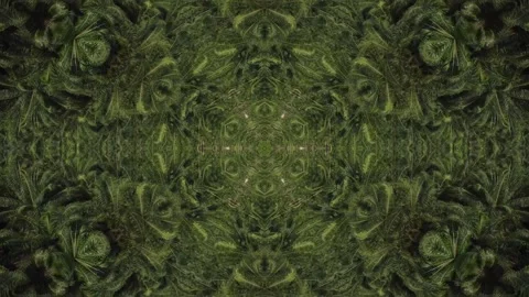 Green leafy patterned background with a green leafy foreground Stock Footage 321390032