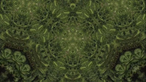 Green leafy patterned background with a green leafy patterned foreground Stock Footage 321390040