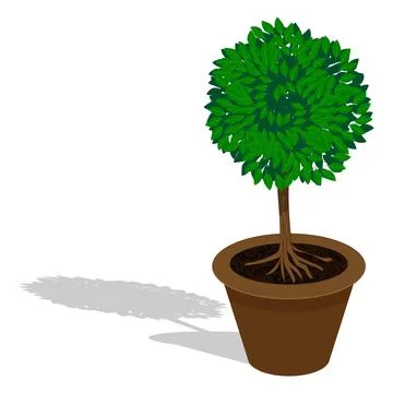 Green, leafy plant in a pot with soil. White background. 库存插图