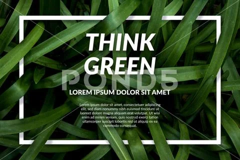 A green leafy plant Template. Natural Elements and Text PSDテンプレート