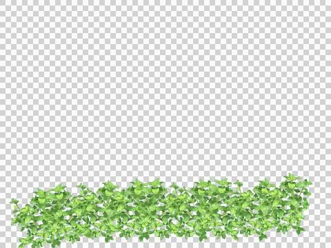 Green leafy texture pattern with natural details isolated on transparent ba.. Stock Photos
