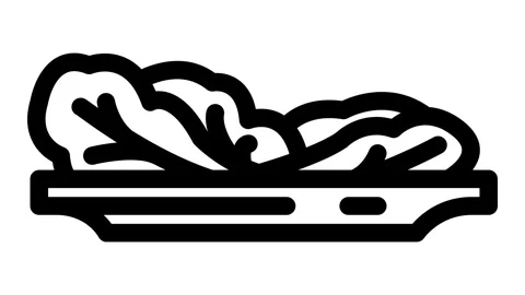 Green leafy vegetable diarrhea line icon animation Video stock 326749229