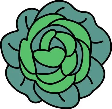 A green leafy vegetable with a stem Stock Illustration