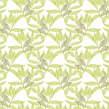 A green leafy vine jaal pattern on a white background Stock Illustration
