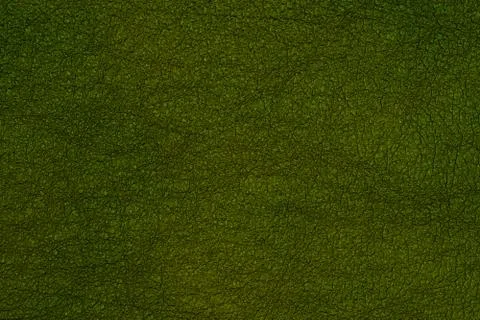Green leather background texture closeup Stock Photos