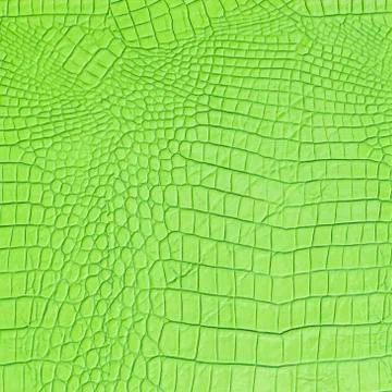 Green leather Stock Photos