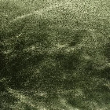 Green leather Stock Photos