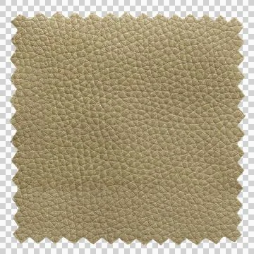 Green leather samples texture isolated with clipping path for mockup Foto stock