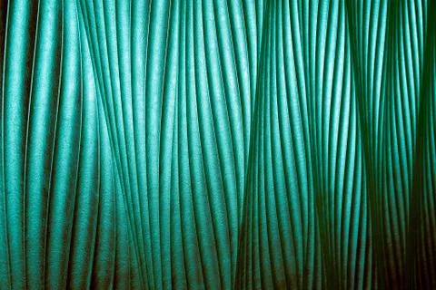 Green leather texture. able to use as a background Stock Photos