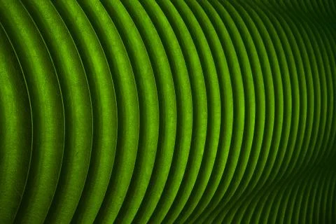 Green leather texture. able to use as a background Stock Photos