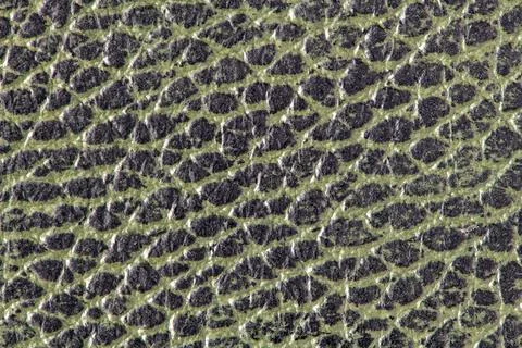 Green leather texture surface background Stock Photos