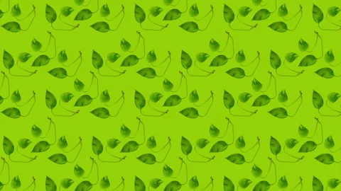 Green leaves 2D background animation, seamless looping, 4K Stock Footage 138542313