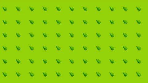 Green leaves 2D background animation, seamless looping, 4K Stock Footage 138542424