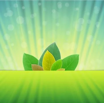 Green  leaves in abstract backgrounds Stock Illustration