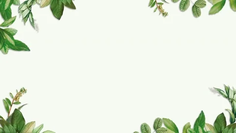 Green leaves and grass frame 스톡 동영상 277800448