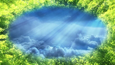 Green Leaves And Sky Stock Footage 102427772