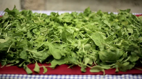 Green leaves of arugula. Medium shot. HD shot with slider Stock Footage 39845908