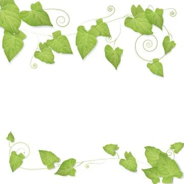Green leaves backdrop Stock Illustration