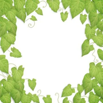 Green leaves background Stock Illustration