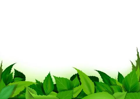 Green Leaves Background Stock Illustration